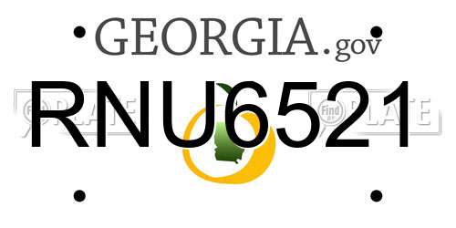 RNU6521 Georgia License Plate