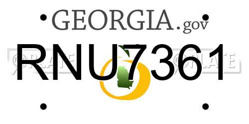 RNU7361 Georgia License Plate