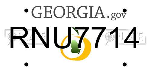 RNU7714 Georgia License Plate