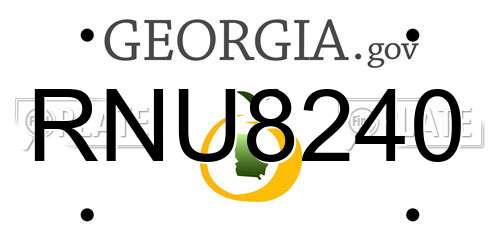 RNU8240 Georgia License Plate