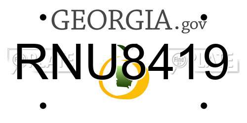 RNU8419 Georgia License Plate