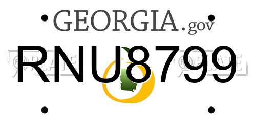 RNU8799 Georgia License Plate
