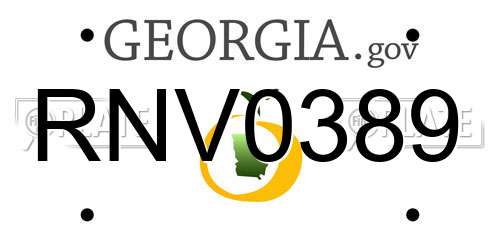 RNV0389 Georgia License Plate