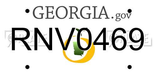 RNV0469 Georgia License Plate