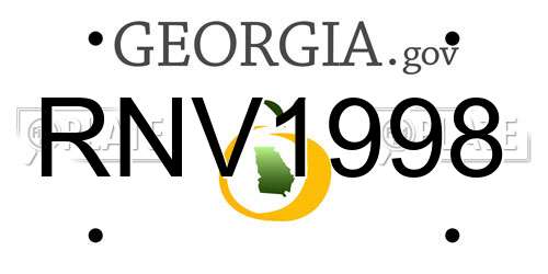 RNV1998 Georgia License Plate