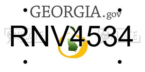 RNV4534 Georgia License Plate