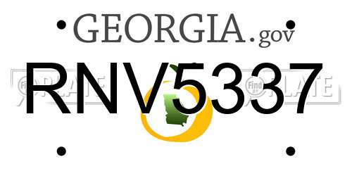 RNV5337 Georgia License Plate