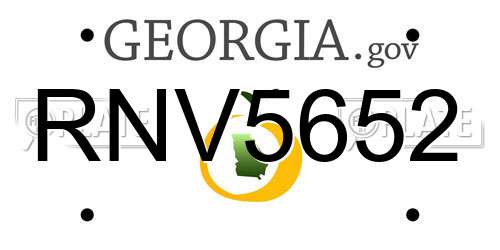 RNV5652 Georgia License Plate