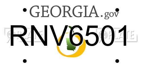 RNV6501 Georgia License Plate