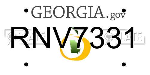 RNV7331 Georgia License Plate
