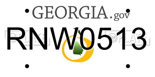 RNW0513 Georgia License Plate