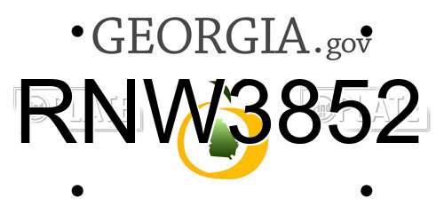 RNW3852 Georgia License Plate