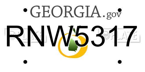 RNW5317 Georgia License Plate