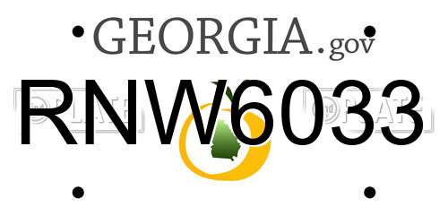 RNW6033 Georgia License Plate