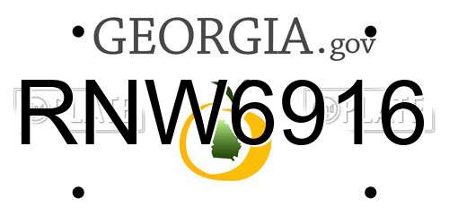 RNW6916 Georgia License Plate