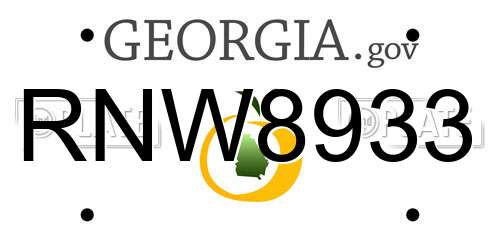 RNW8933 Georgia License Plate