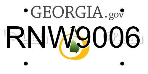 RNW9006 Georgia License Plate
