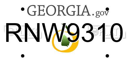 RNW9310 Georgia License Plate