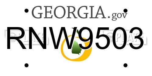 RNW9503 Georgia License Plate