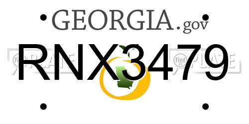 RNX3479 Georgia License Plate