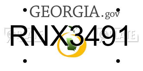RNX3491 Georgia License Plate
