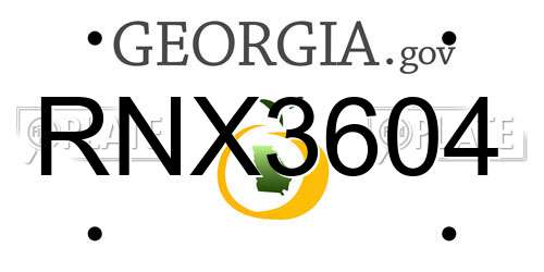 RNX3604 Georgia License Plate