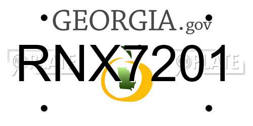RNX7201 Georgia License Plate