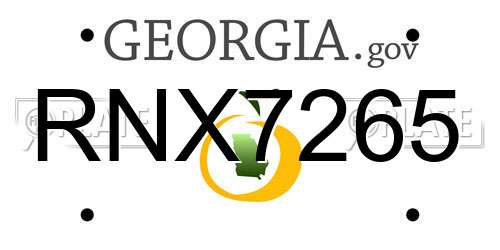 RNX7265 Georgia License Plate