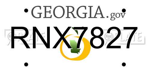 RNX7827 Georgia License Plate