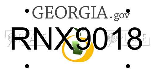 RNX9018 Georgia License Plate