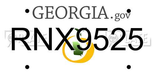RNX9525 Georgia License Plate