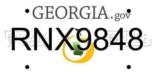 RNX9848 Georgia License Plate