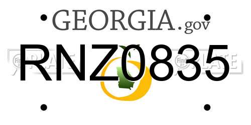 RNZ0835 Georgia License Plate
