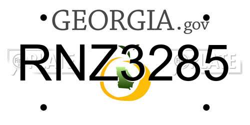 RNZ3285 Georgia License Plate