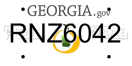 RNZ6042 Georgia License Plate