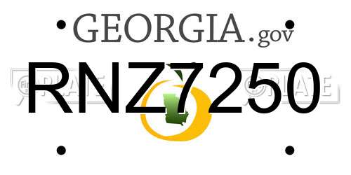 RNZ7250 Georgia License Plate