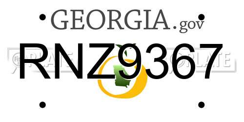 RNZ9367 Georgia License Plate