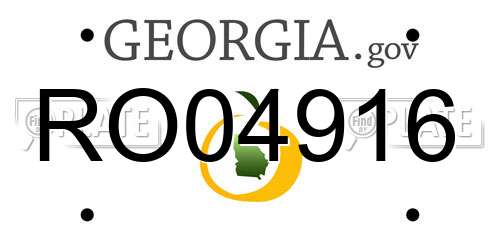 RO04916 Georgia License Plate