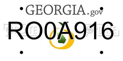 RO0A916 Georgia License Plate