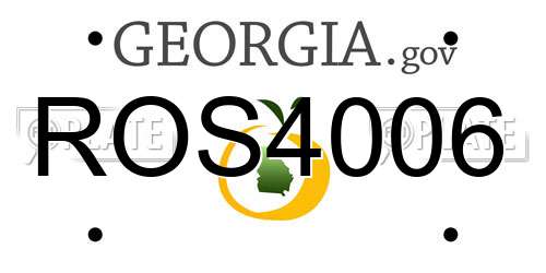 ROS4006 Georgia License Plate