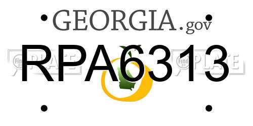 RPA6313 Georgia License Plate
