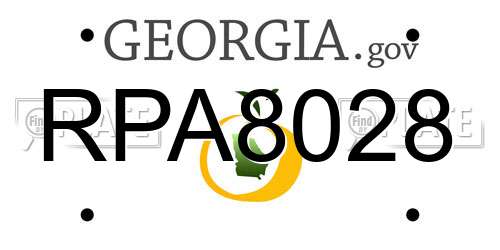 RPA8028 Georgia License Plate