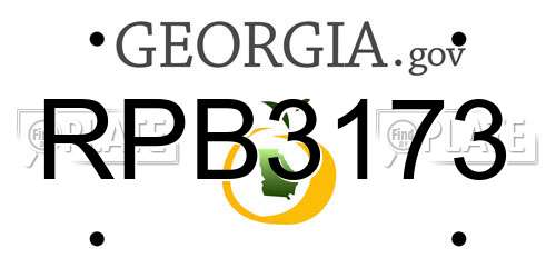 RPB3173 Georgia License Plate