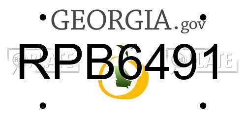 RPB6491 Georgia License Plate