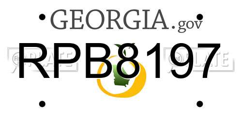 RPB8197 Georgia License Plate