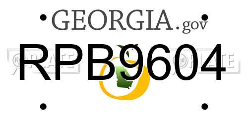 RPB9604 Georgia License Plate