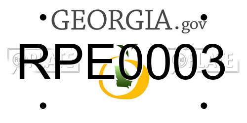 RPE0003 Georgia License Plate