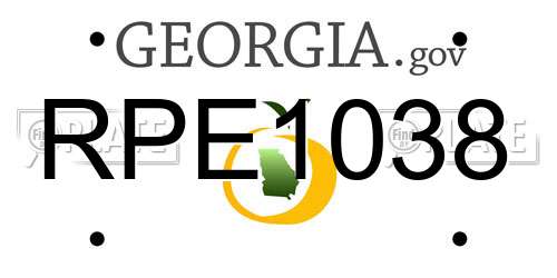 RPE1038 Georgia License Plate
