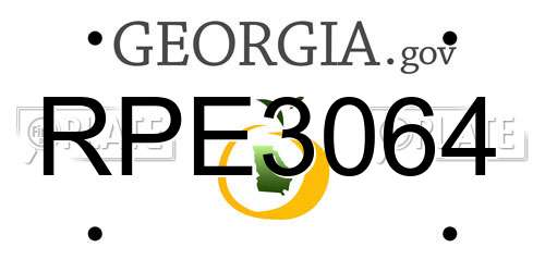 RPE3064 Georgia License Plate