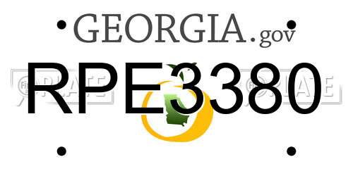 RPE3380 Georgia License Plate